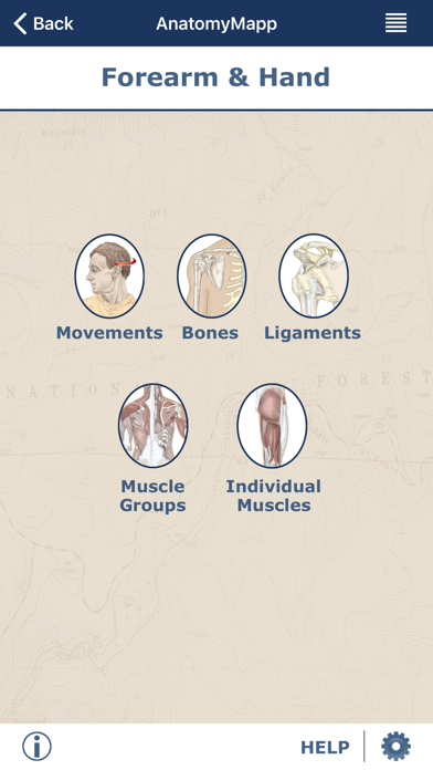 AnatomyMapp Screenshot