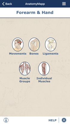AnatomyMapp screenshot 2