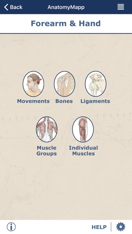 AnatomyMapp
