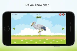 Game screenshot Learn Animals, Birds & Insects hack