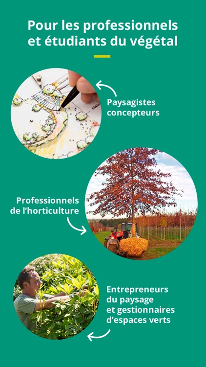 Floriscope screenshot-7