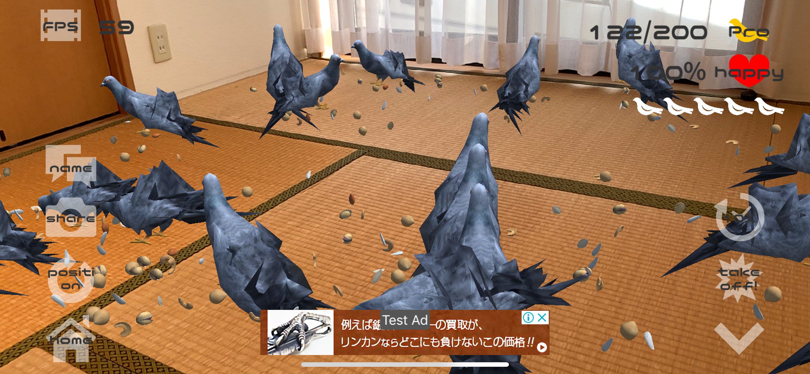 Anywhere Pigeon AR