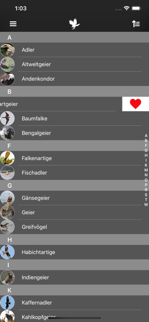 Greifvögel(圖5)-速報App