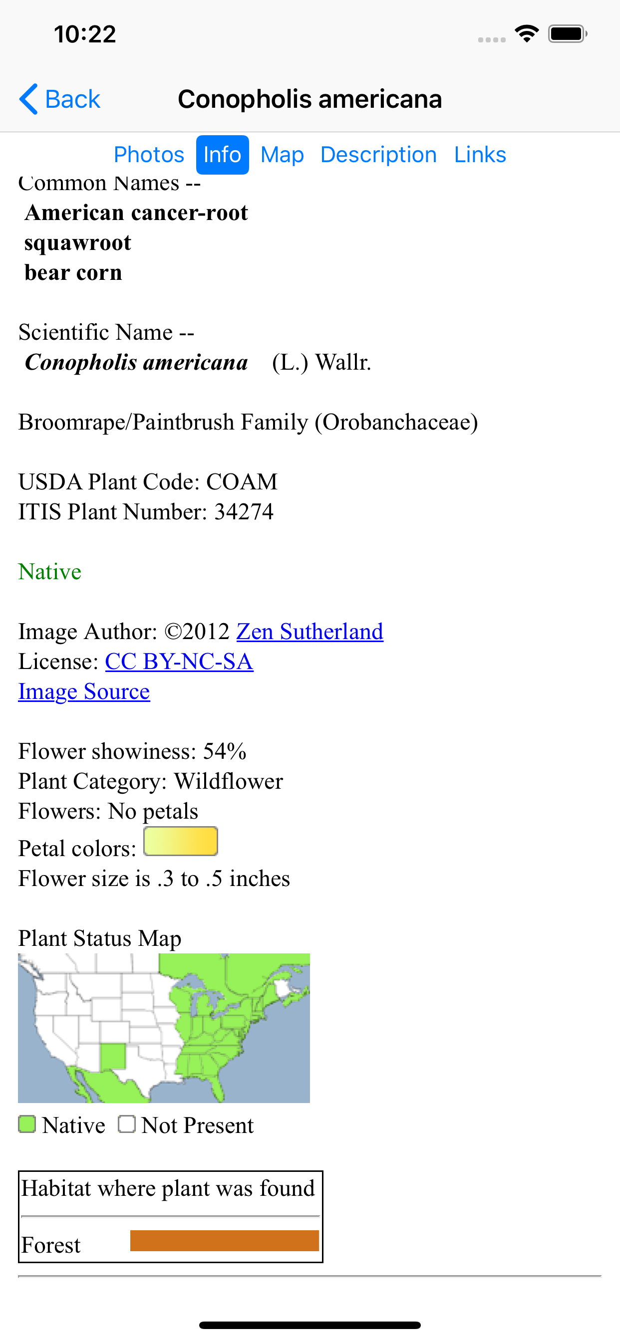 Michigan Wildflowers