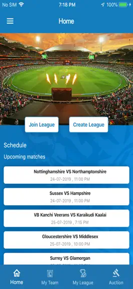 Game screenshot Cricketeenz hack