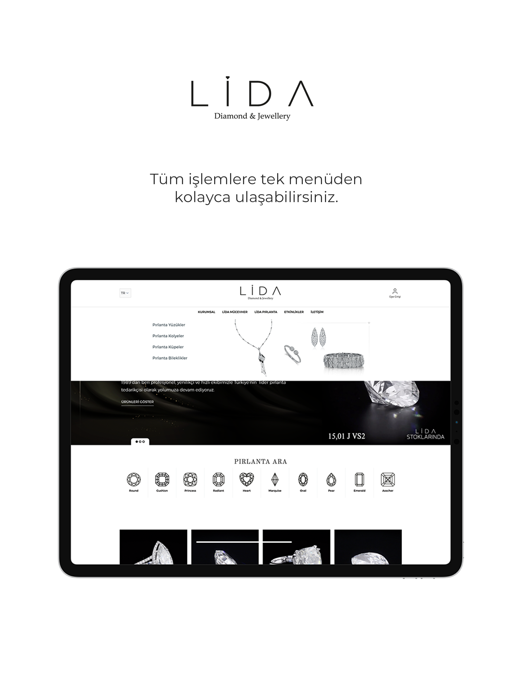 Lida Diamond screenshot 10