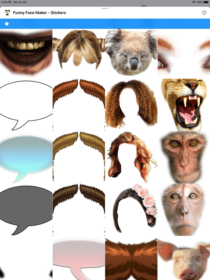 Funny Face Maker - Stickers