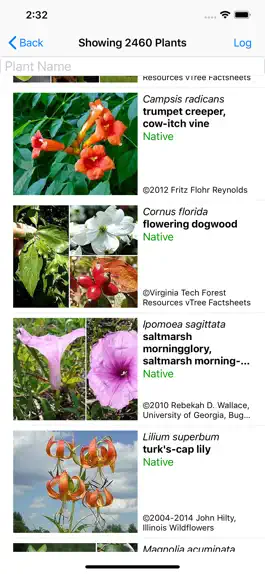 Game screenshot Mississippi Wildflowers apk