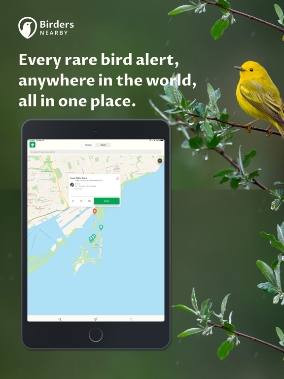 The Rare Bird Alertのおすすめ画像1