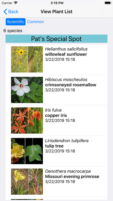 Missouri Wildflowers Screenshot