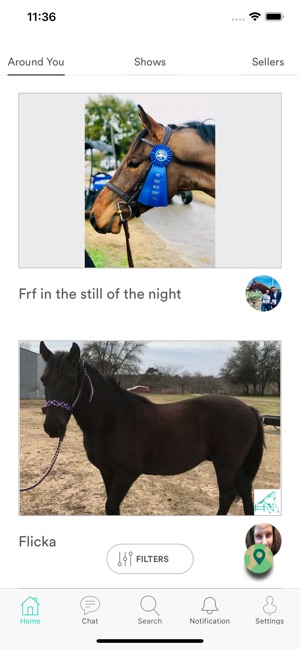 Sales Paddock(圖2)-速報App