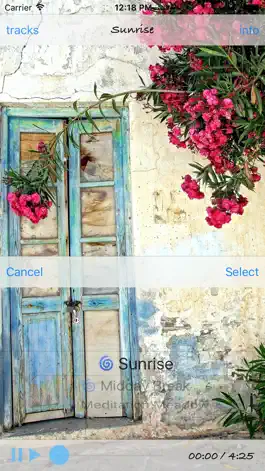 Game screenshot Mindspring apk