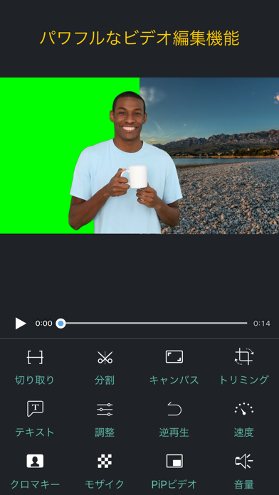 Perfect Video  Pro screenshot1