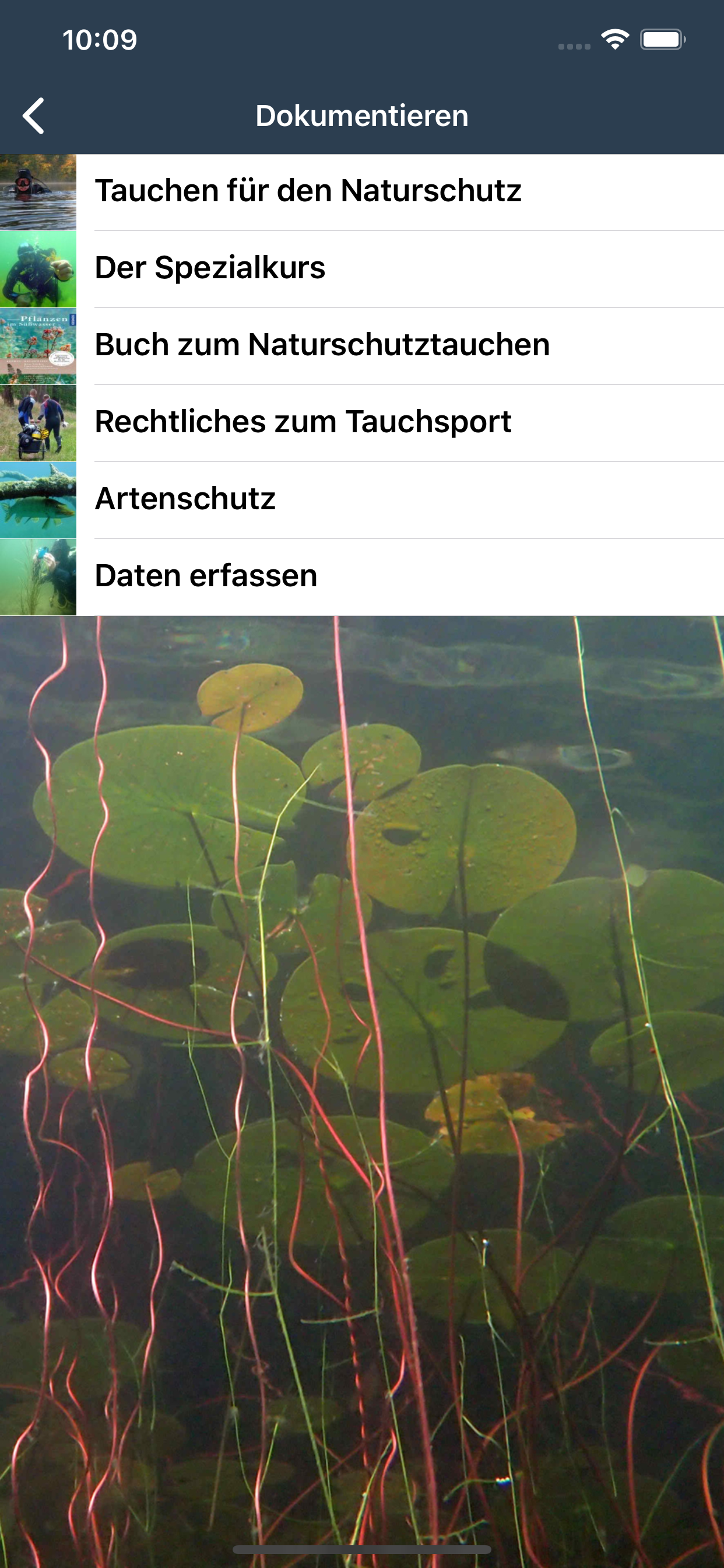 Tauchen-App Wasserpflanzen