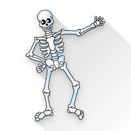 Orthopedic Limbs Anatomy Читы