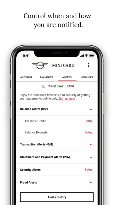 MINI Credit Card Screenshot