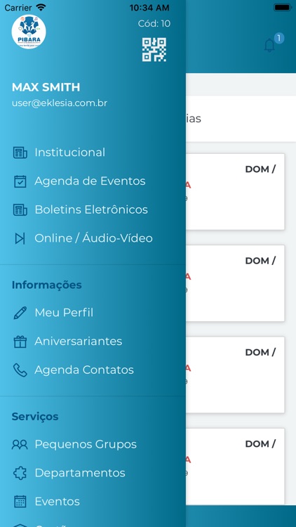 Portal PIBARA screenshot-3
