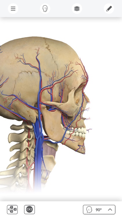 Anatomía Interactiva screenshot-3