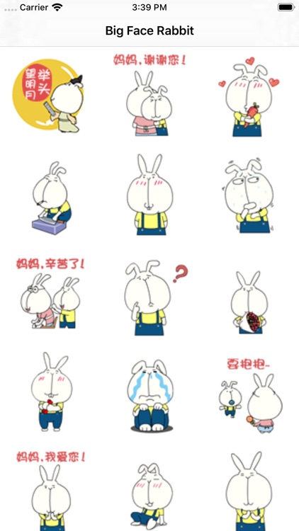 Big Face Rabbit