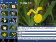 wild flower id british isles ipad bildschirmfoto 1