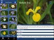 Wild Flower Id British Isles ipad bilder 0