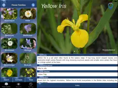 Wild Flower Id British Isles iPad image 1