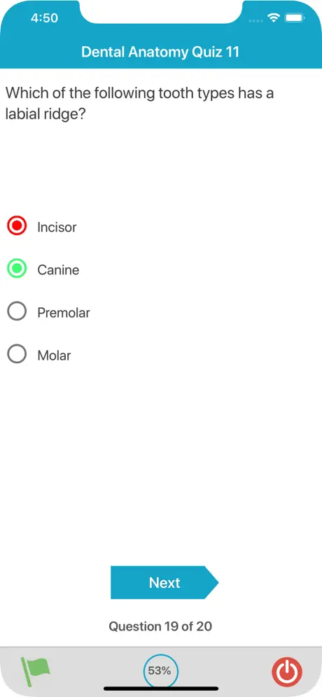 Dental Anatomy Quizzes