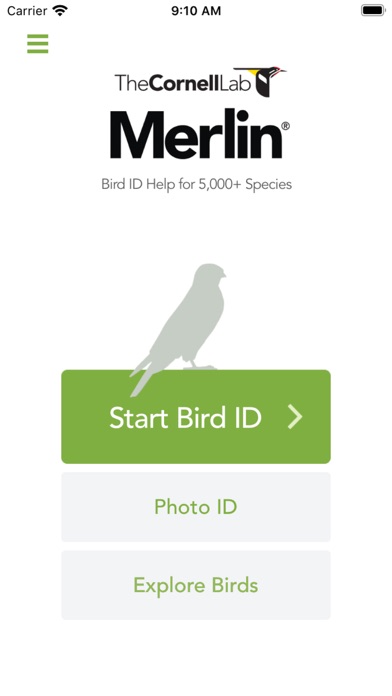 Merlin Bird ID by Cornell Lab of Ornithology screenshot