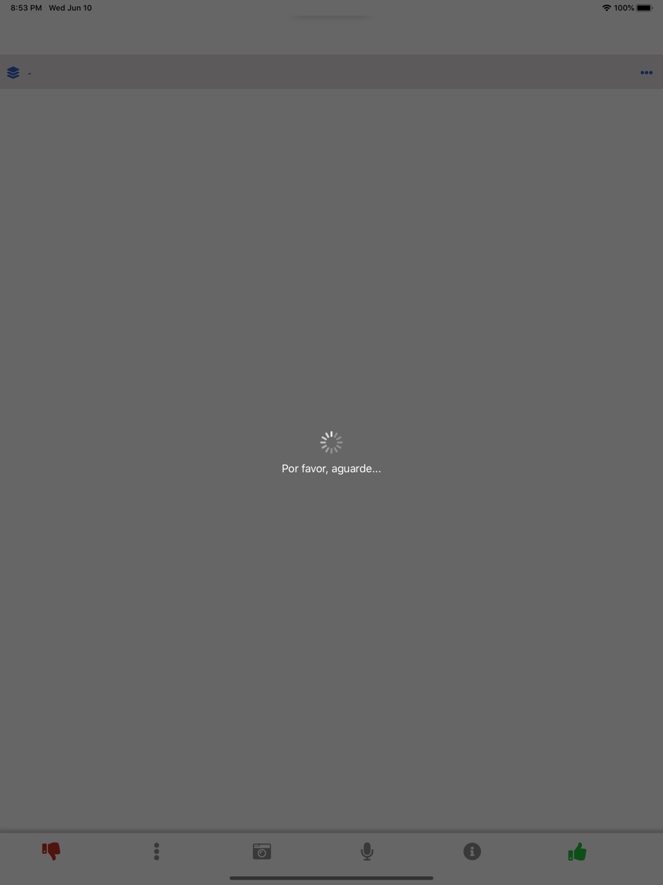 iPad screenshot