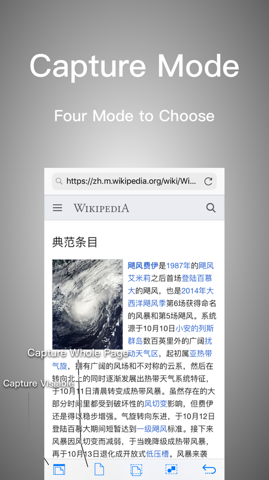 #1. Webshot (iOS) 由: 要正 王