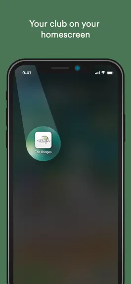 Game screenshot The Bridges at Beresford mod apk