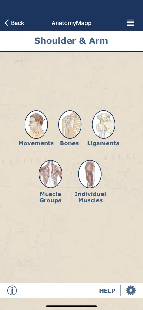AnatomyMapp