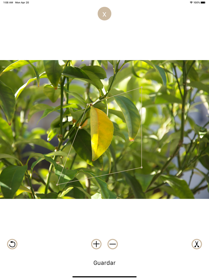 Simple Cut - Photo Crop