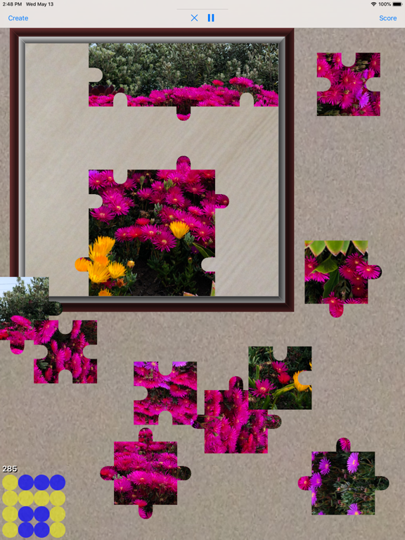 Jigsaw Puzzle Maker for iPad L app screenshot 2