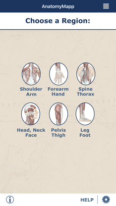 AnatomyMapp screenshot 1