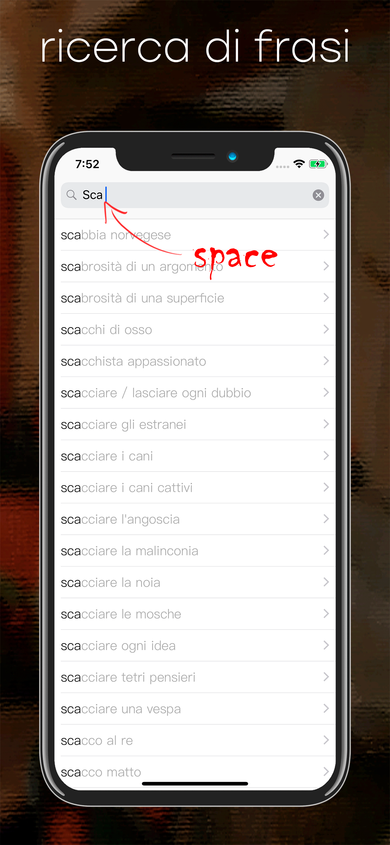 Italiano<->russo dizionario