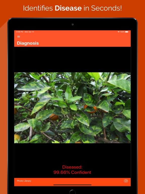 Screenshot #4 pour Doc Citrus