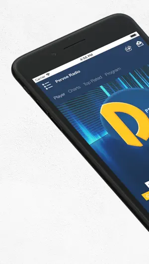 Pervoe Radio FM screenshot 1