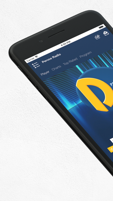 Pervoe Radio FM Screenshot