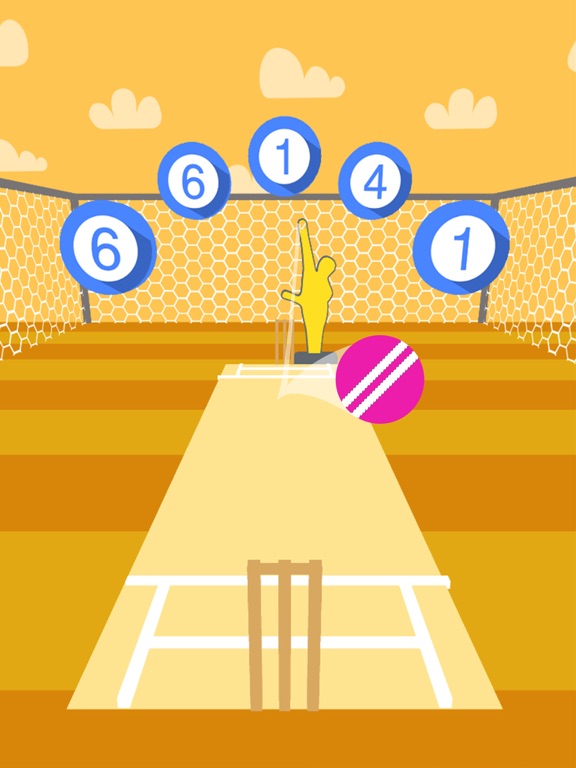 Cricket Practice iPad screenshot