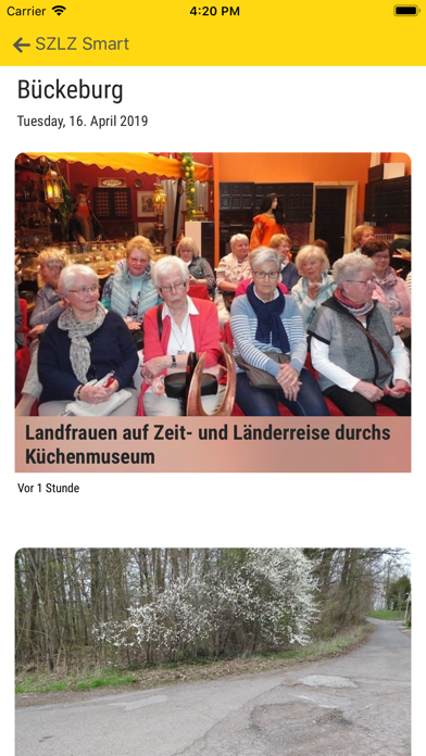 Screenshot #2 pour SZLZ Smart