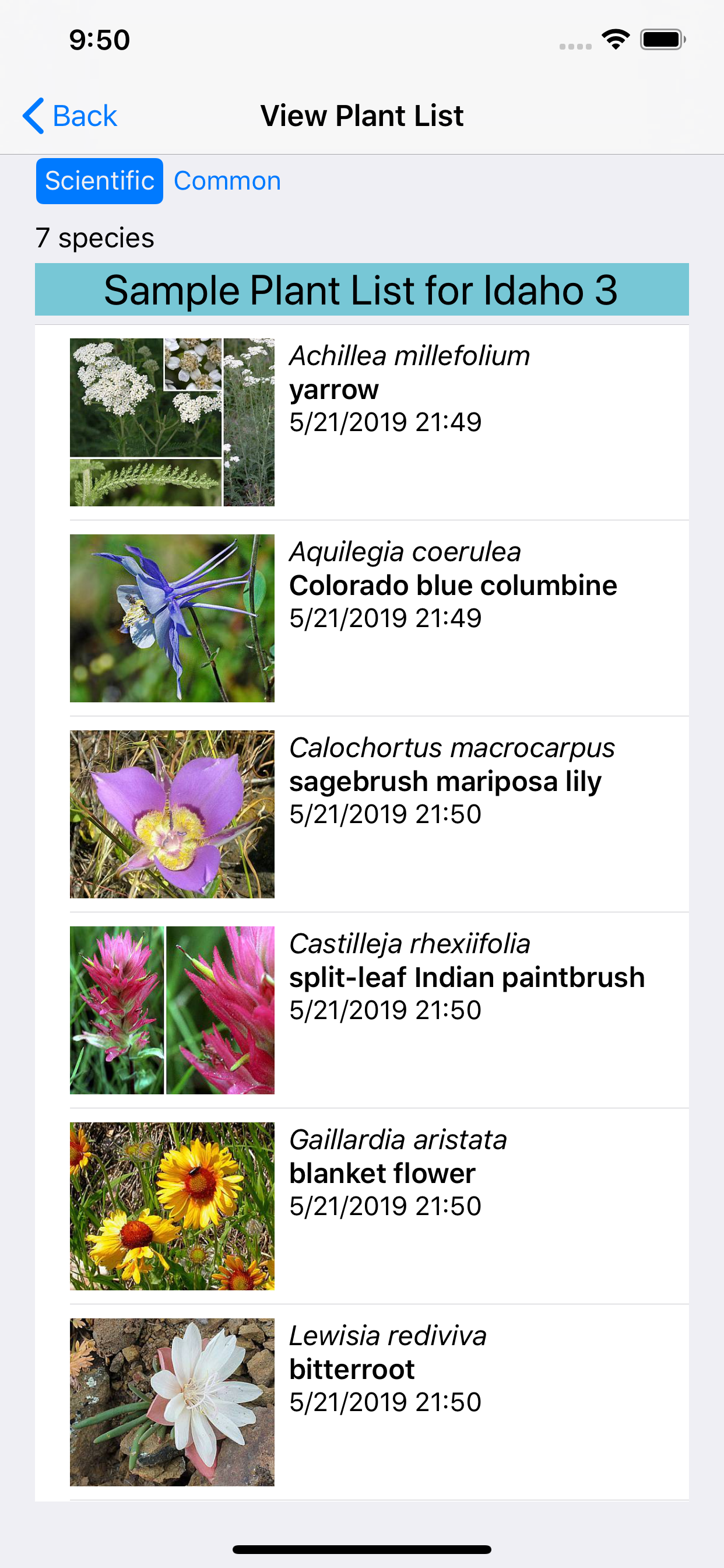 Idaho Wildflower Search