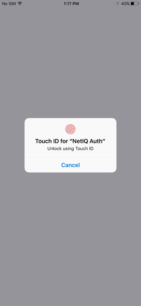 OT Advanced Authentication - Business App | MWM