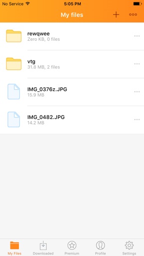 Rapidgator.net File Manager screenshot
