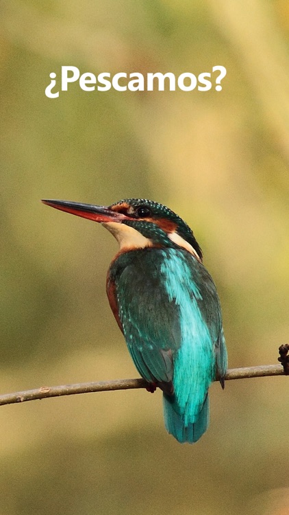 MyFishingMaps - mapas de pesca screenshot-4