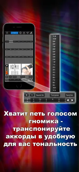 Game screenshot Аккорды гитары lite LR hack