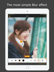 bokeh blur editor айпад изображения 1