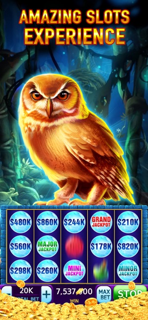 Slots: Vegas Casino Slot Games(圖4)-速報App
