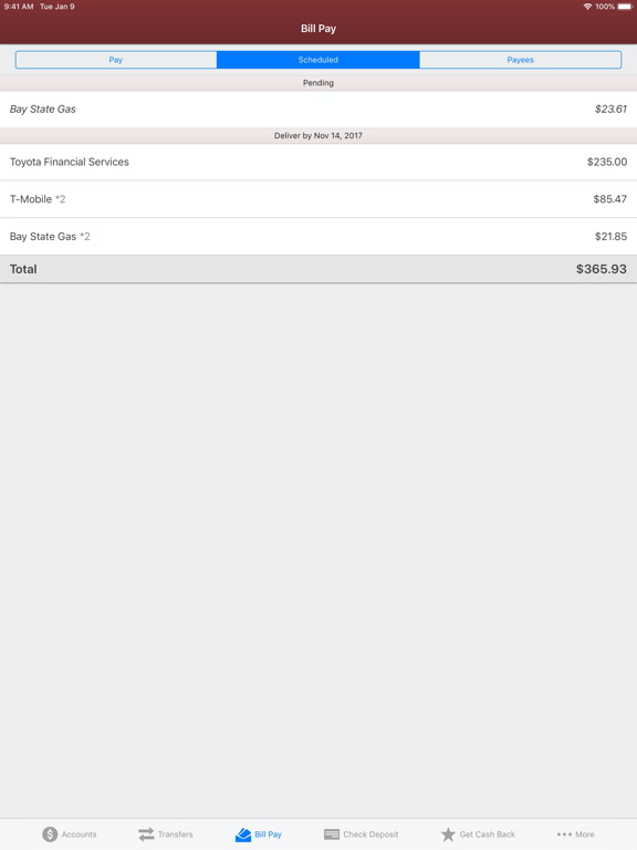 BankSouth iPad screenshot 6 - Finance app