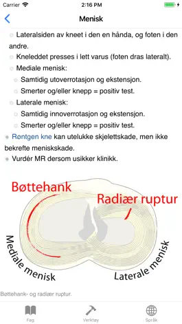 Game screenshot Skadehåndboka apk
